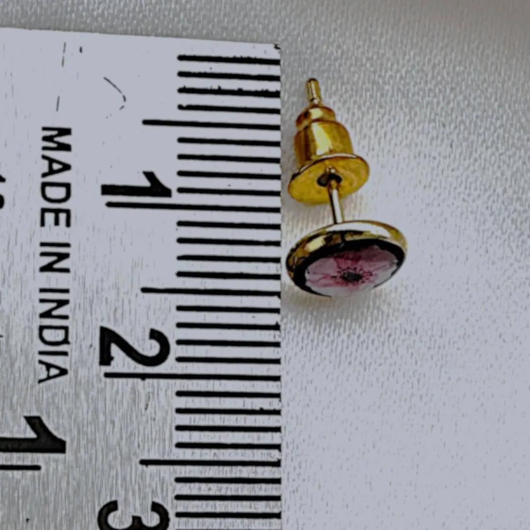 Sunbeam Studs view 2